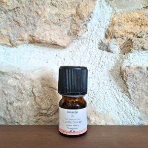 Huile essentielle de carotte sauvage, flacon de 2.5 ml