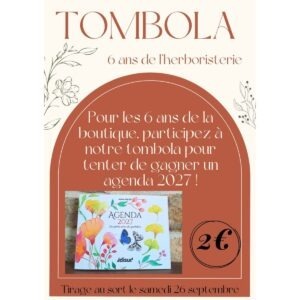 Ticket tombola - Agenda 2027
